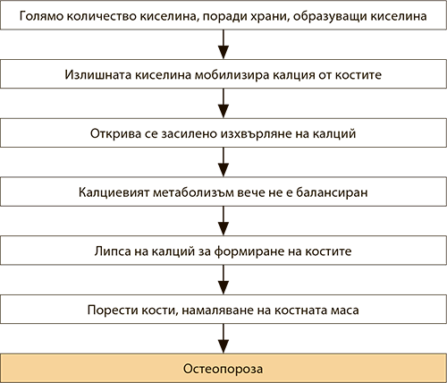 влияние на остео кисилината