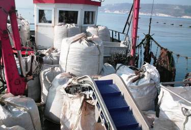 big bag sea transport